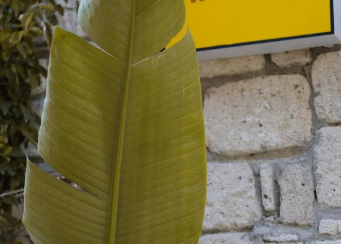 Voq Alacati Bed & Breakfast Cesme