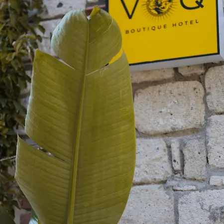 Voq Alacati Отель типа 